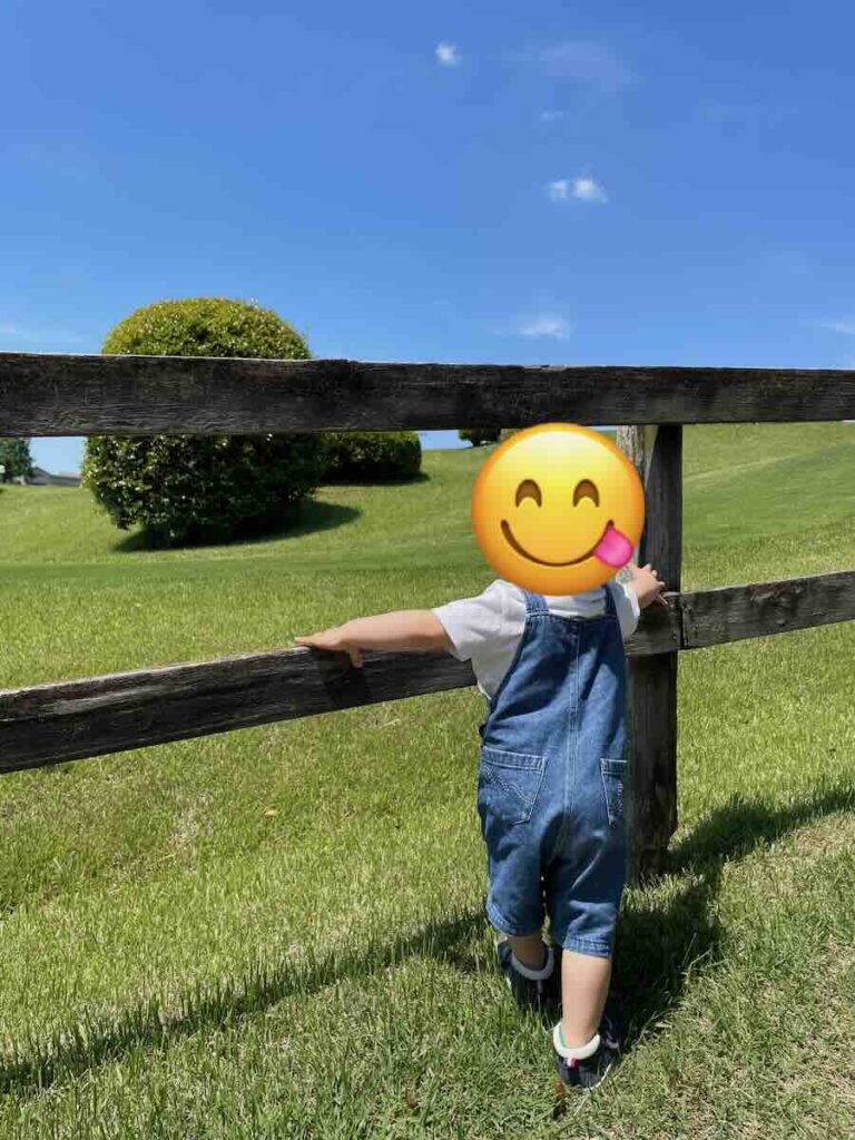 愛知牧場(日進市) レビュー