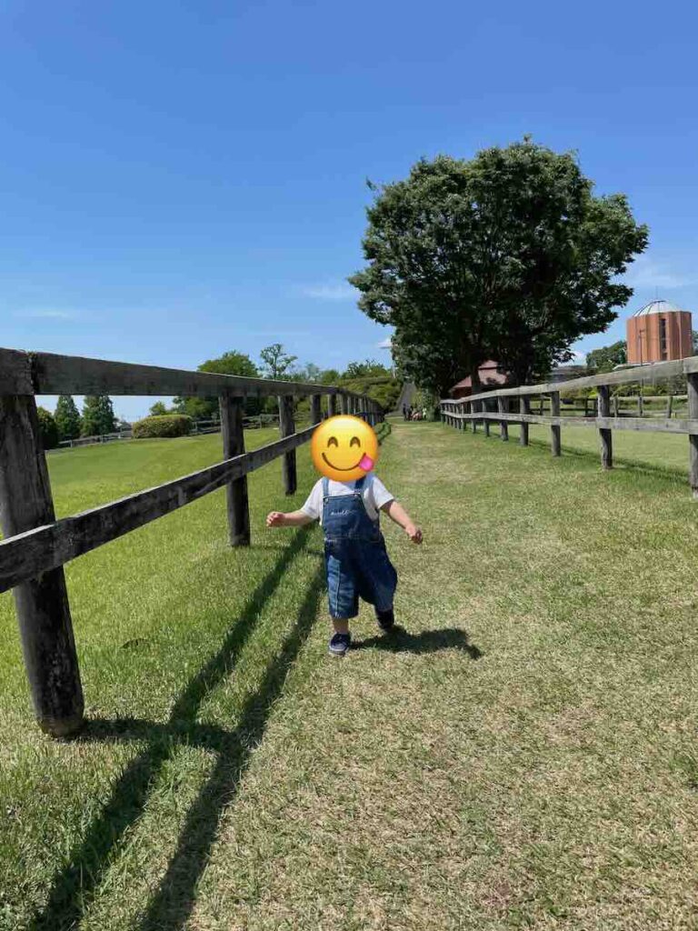 愛知牧場　子連れ　レビュー　動物ふれあい　餌やり体験