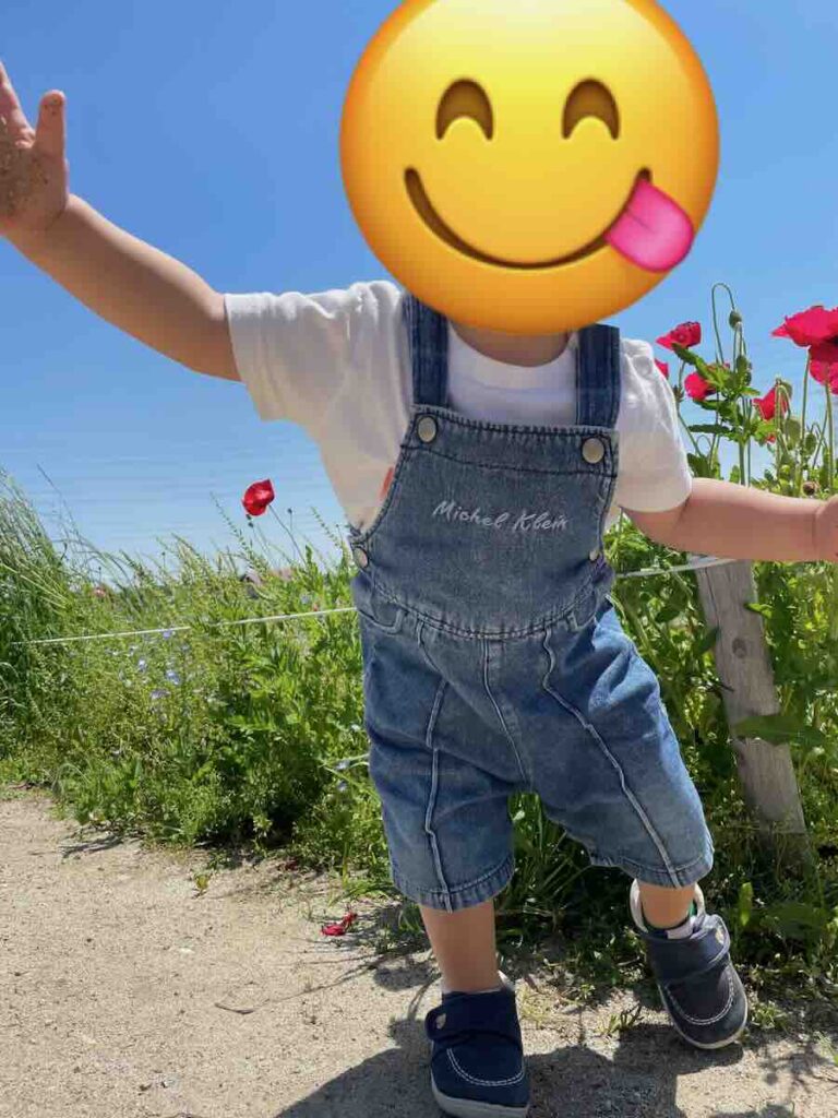 愛知牧場　子連れ　レビュー　動物ふれあい　餌やり体験