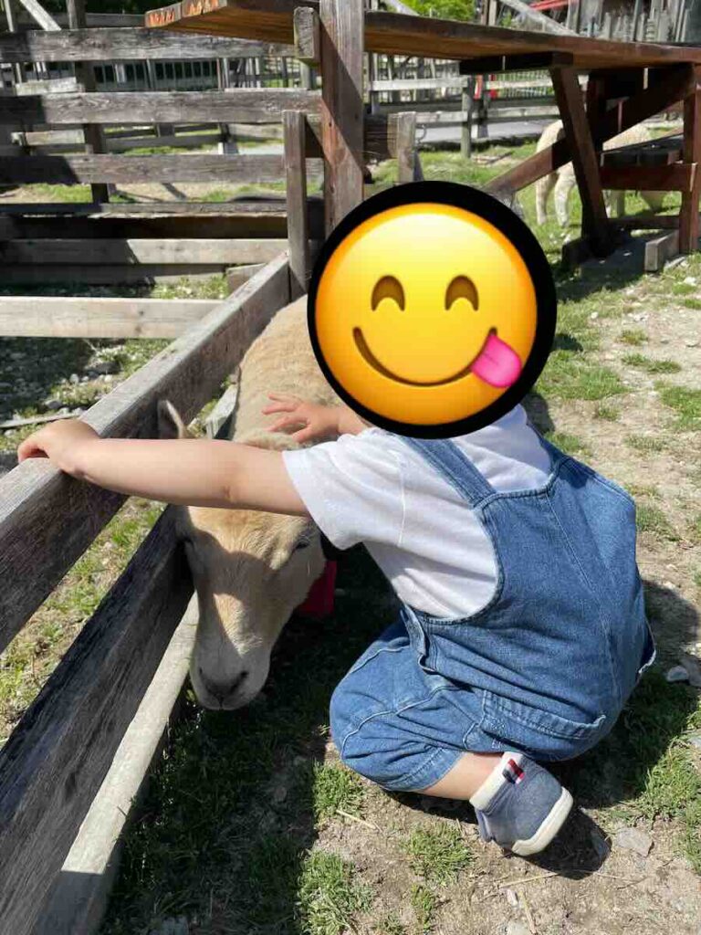 愛知牧場　子連れ　レビュー　動物ふれあい　餌やり体験