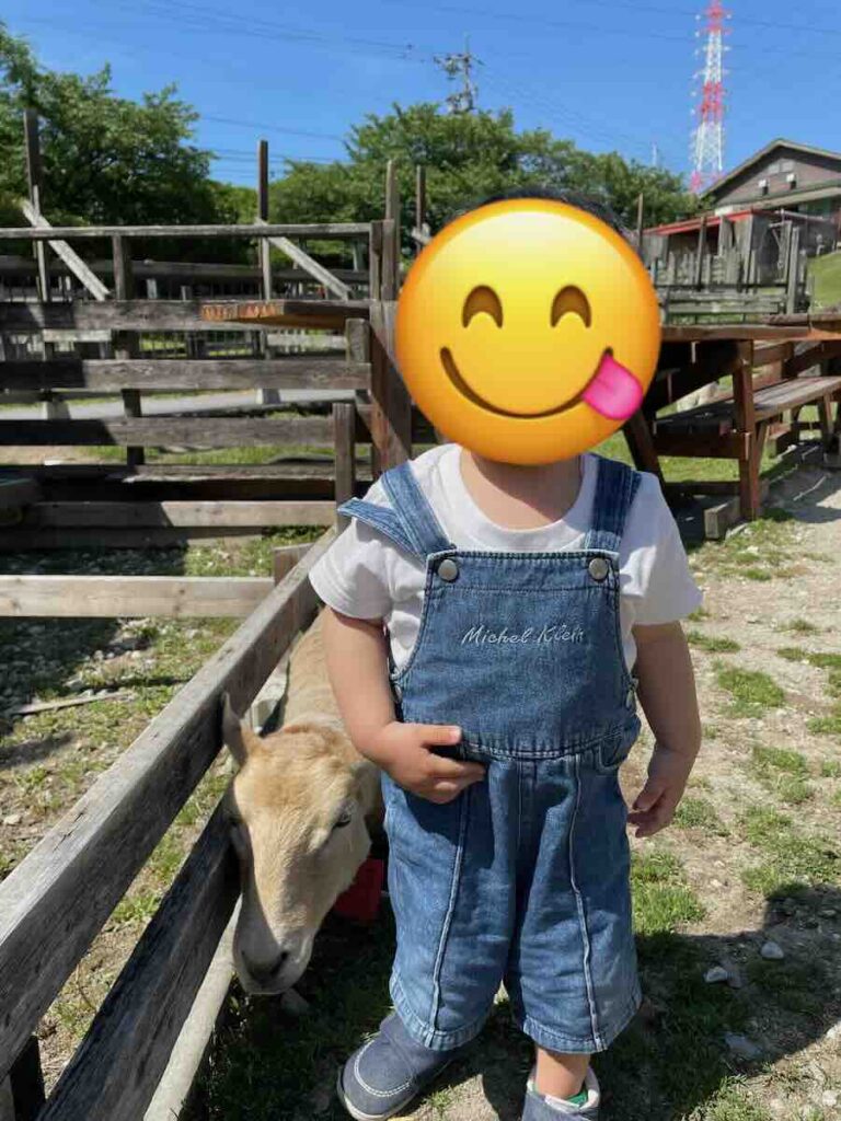 愛知牧場　子連れ　レビュー　動物ふれあい　餌やり体験