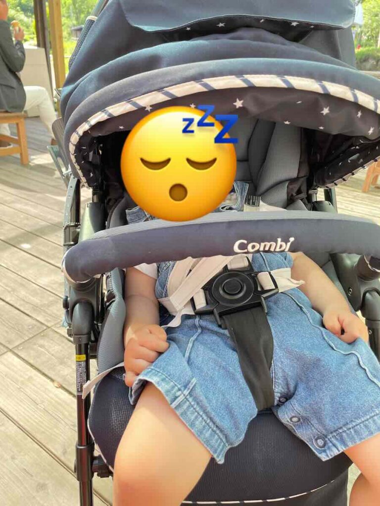 愛知牧場　子連れ　レビュー　動物ふれあい　餌やり体験