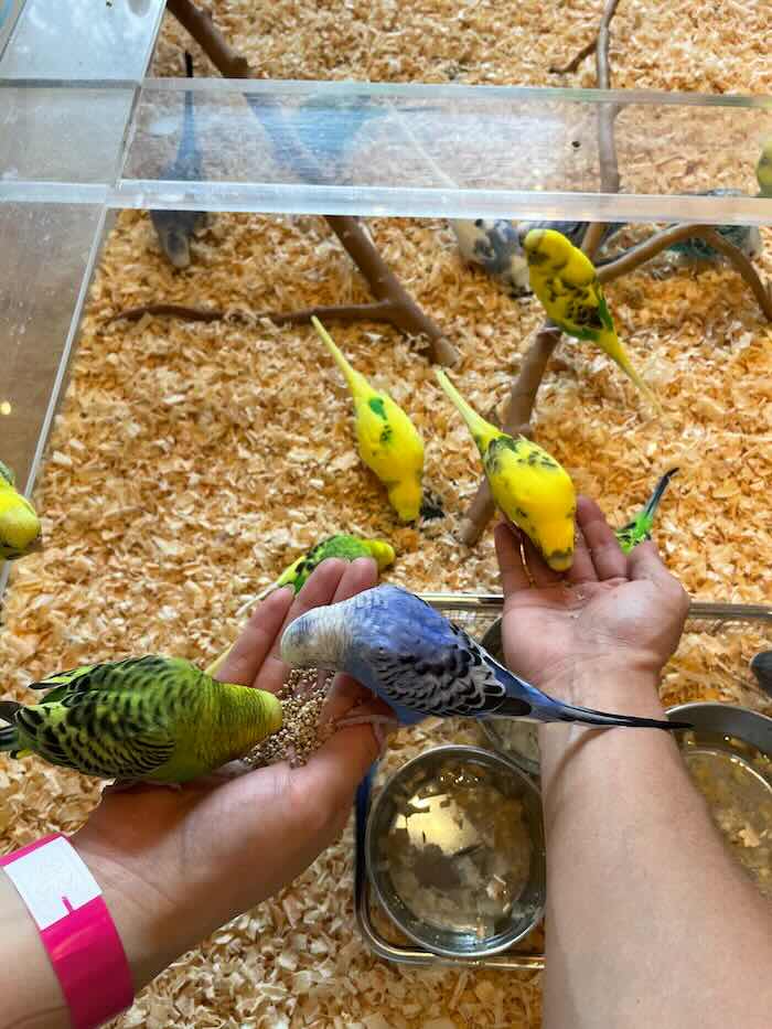 いきもの探検隊(メイカーズピア店) レビュー