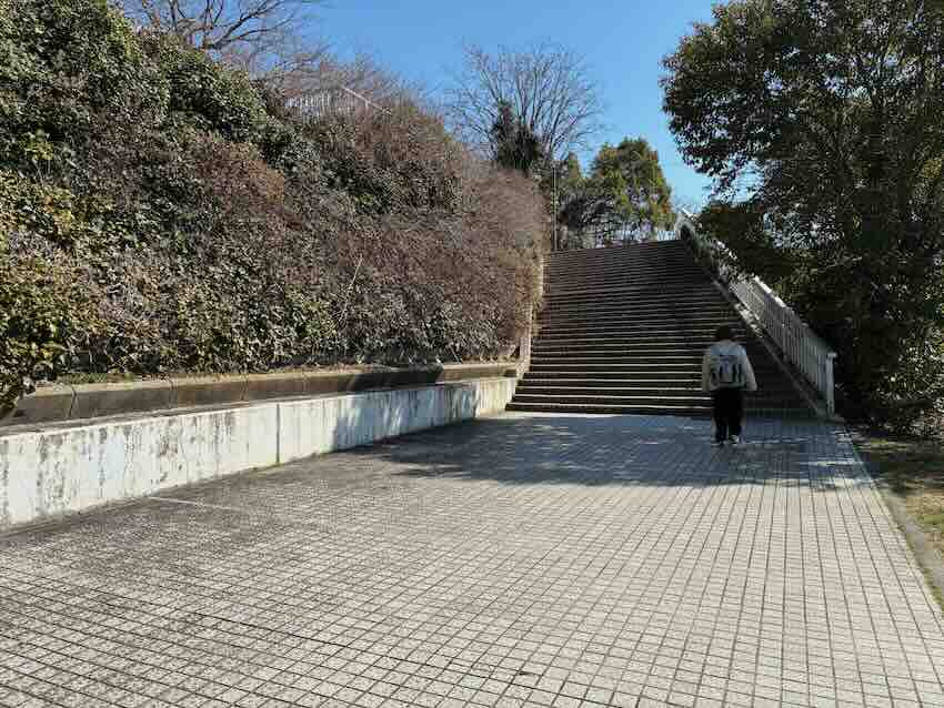 滝の水公園 遊具 景色 パノラマビュー 夜景 駐車場