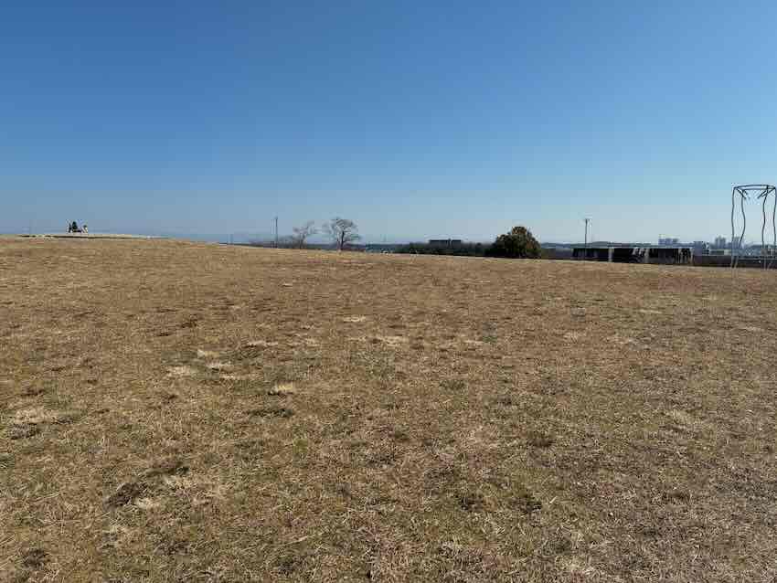 滝の水公園 遊具 景色 パノラマビュー 夜景 芝生