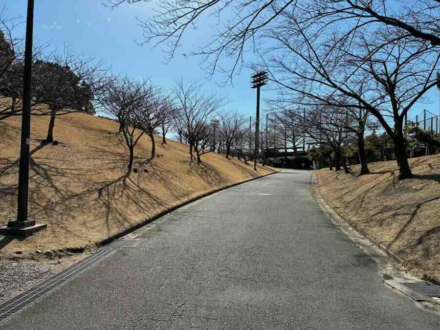 平地公園 ゴーカート 遊具 ピクニック 子ども 子連れ レビュー 交通公園 自転車 滑り台 芝生 砂場 ベンチ 花見