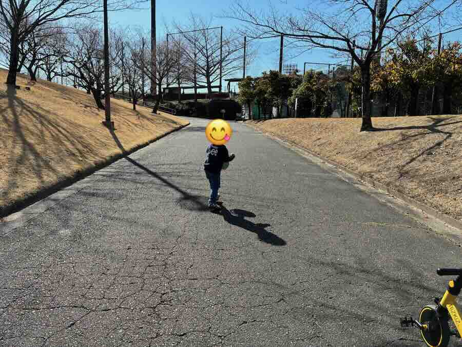 平地公園 ゴーカート 遊具 ピクニック 子ども 子連れ レビュー 交通公園 自転車 滑り台 芝生 砂場 ベンチ 花見