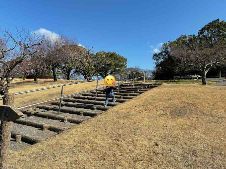 平地公園 ゴーカート 遊具 ピクニック 子ども 子連れ レビュー 交通公園 自転車 滑り台 芝生 砂場 ベンチ 花見