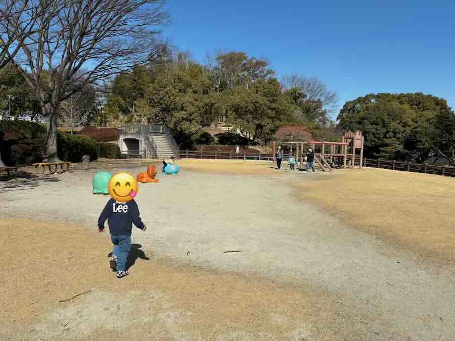 平地公園 ゴーカート 遊具 ピクニック 子ども 子連れ レビュー 交通公園 自転車 滑り台