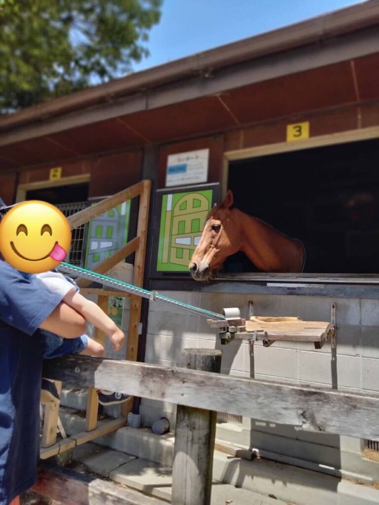 愛知牧場　子連れ　レビュー　動物ふれあい　餌やり体験