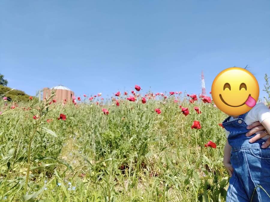 愛知牧場　子連れ　レビュー　動物ふれあい　餌やり体験