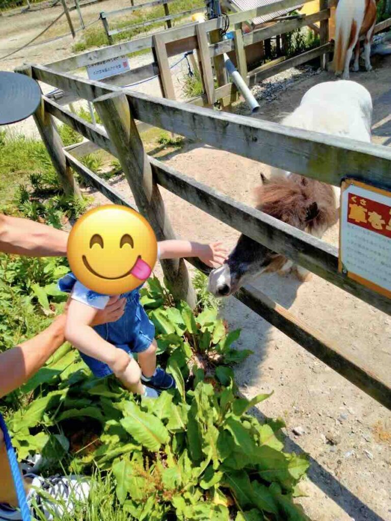 愛知牧場　子連れ　レビュー　動物ふれあい　餌やり体験