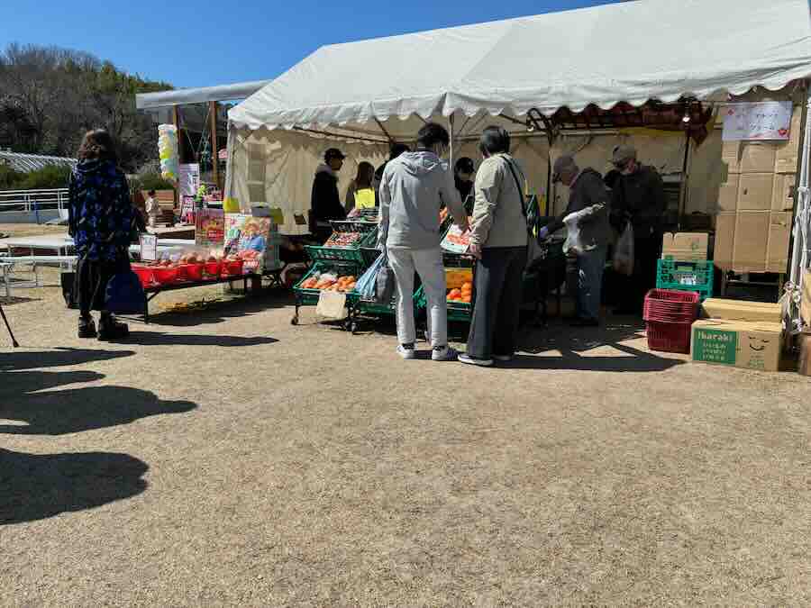 しだれ梅園　しだれ梅祭り　デラファーム　deraファーム　動物ふれあい　青空市場