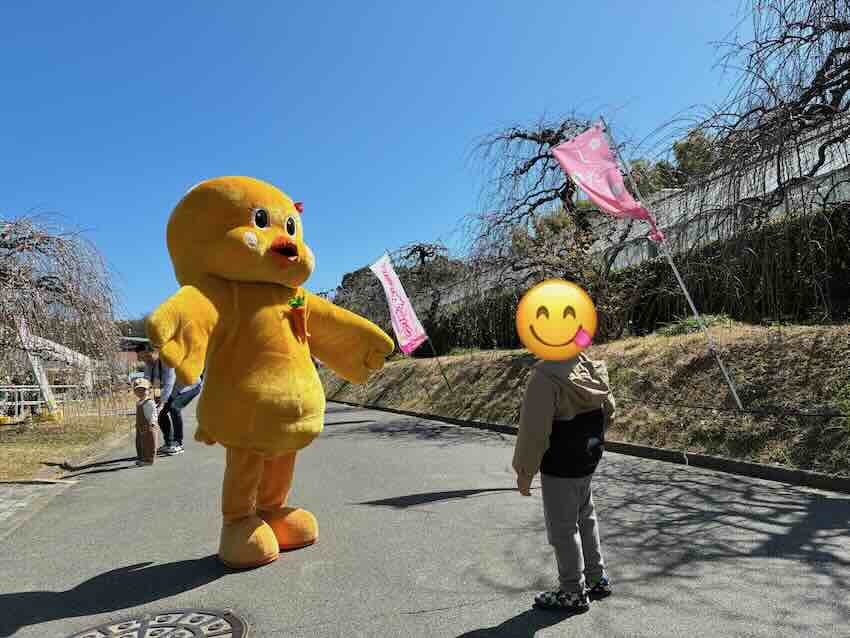 しだれ梅園　しだれ梅祭り　デラファーム　deraファーム　動物ふれあい　トイレ　牛　ひよこ