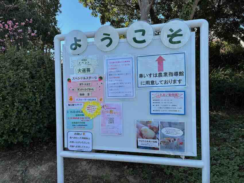 しだれ梅園　しだれ梅祭り　デラファーム　deraファーム　動物ふれあい　トイレ　牛　ひよこ