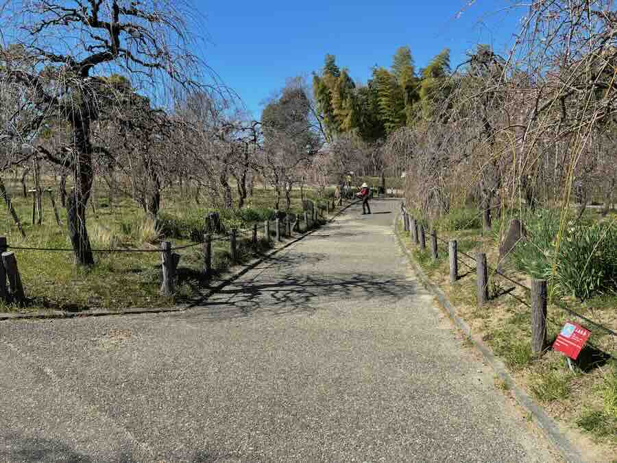 しだれ梅園　しだれ梅祭り　デラファーム　deraファーム　動物ふれあい