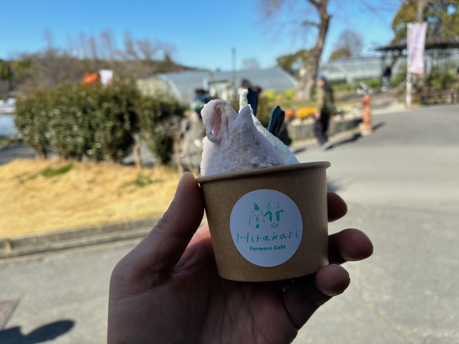 しだれ梅園　しだれ梅祭り　デラファーム　deraファーム　動物ふれあい　ソフトクリーム　ジェラート