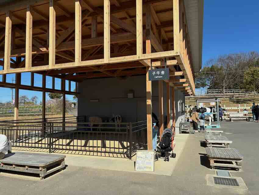 しだれ梅園　しだれ梅祭り　デラファーム　deraファーム　動物ふれあい　トイレ　牛　ひよこ