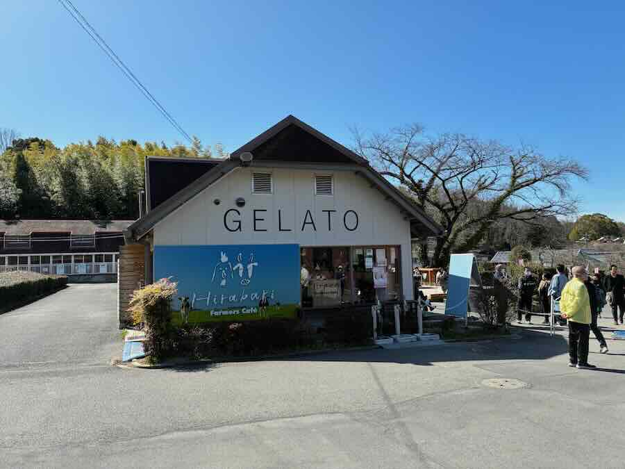 しだれ梅園　しだれ梅祭り　デラファーム　deraファーム　動物ふれあい　ソフトクリーム　ジェラート