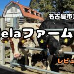 名古屋市天白区　delaファーム　レビュー　しだれ梅祭り