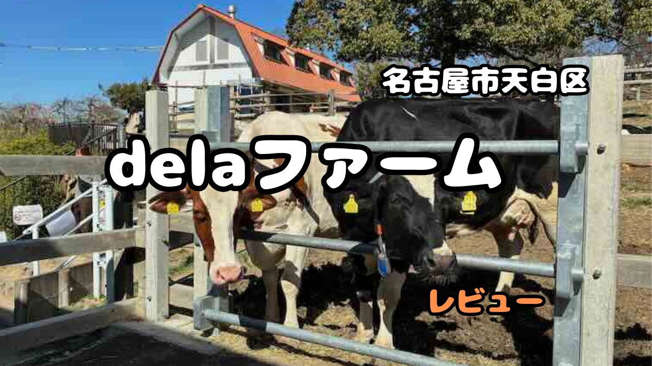 名古屋市天白区　delaファーム　レビュー　しだれ梅祭り