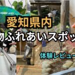 愛知県内　動物ふれあいスポット　体験レビュー　お出かけ