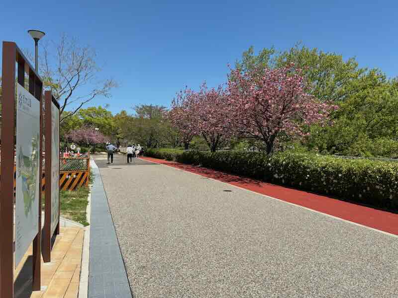 於大公園　駐車場　花見　リニューアル