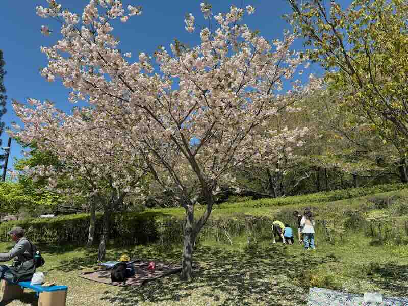於大公園　忍者　リニューアル　芝生　ピクニック